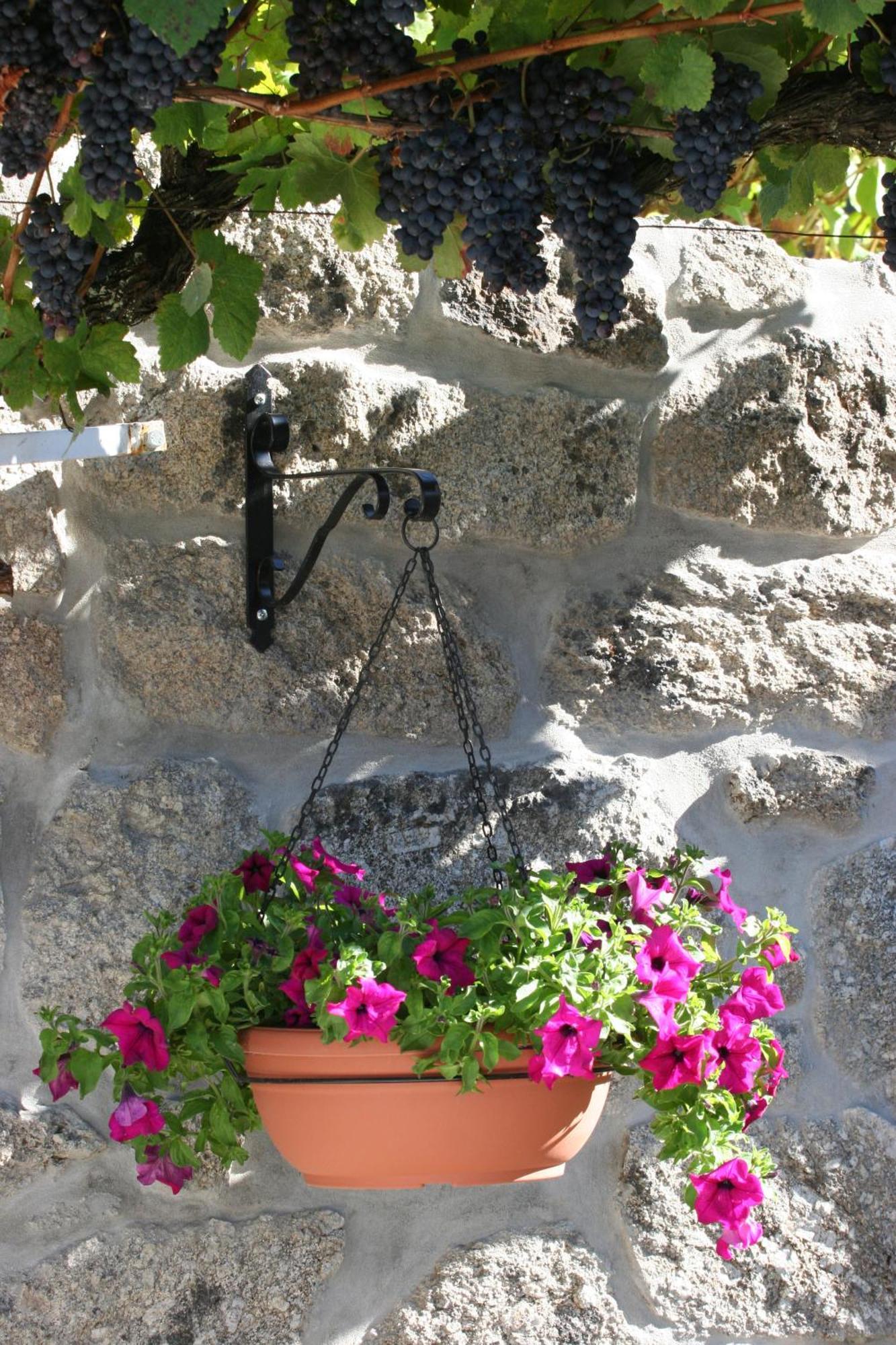 Quinta Da Timpeira Pension Lamego Buitenkant foto