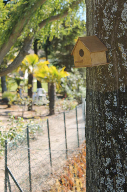 Quinta Da Timpeira Pension Lamego Buitenkant foto
